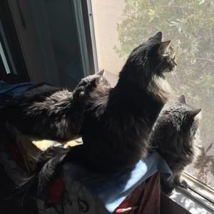 Meet your Posher, Ken